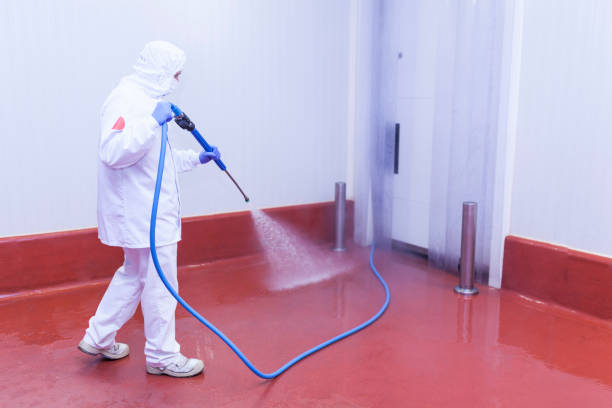 Best Dumpster Area Cleaning  in Paris, MO